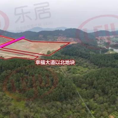 广东佛山市南海区里水镇学校的长尾关键词有哪些