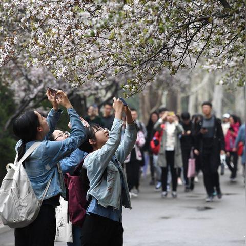 济南李律师是哪个律所的？