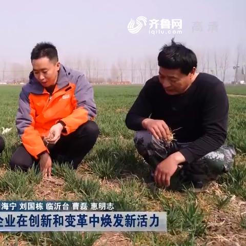临沂市农机具市场在哪里