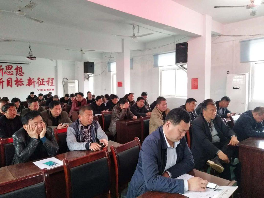 乡镇app拉新(乡村道路两边是否允许私人种树)