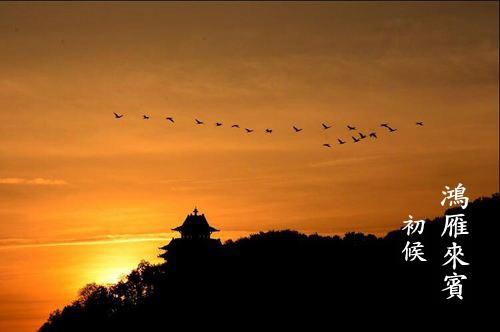 寒露三候是什么意思 寒露三候是什么意思