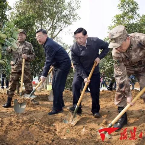 河南苗政委的相关长尾关键词有哪些