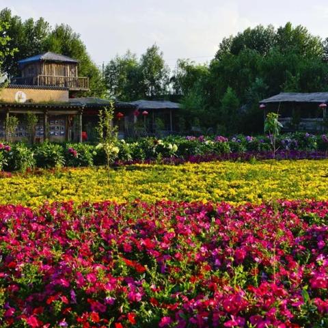 南宁骏马的相关长尾关键词有哪些