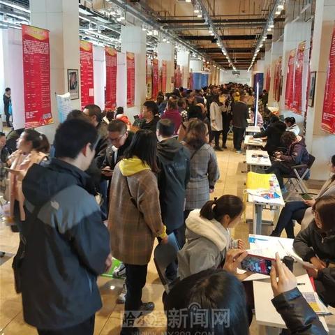 哈尔滨可以带狗的相关长尾关键词有哪些