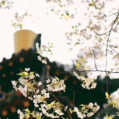 西安哪个医院看眼睛好相关长尾关键词有哪些