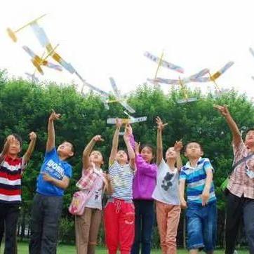 石家庄市哪个是主城区啊