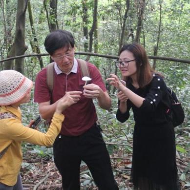 深圳市凤凰山在哪个区