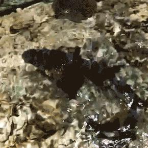 厦门磊的相关长尾关键词有哪些