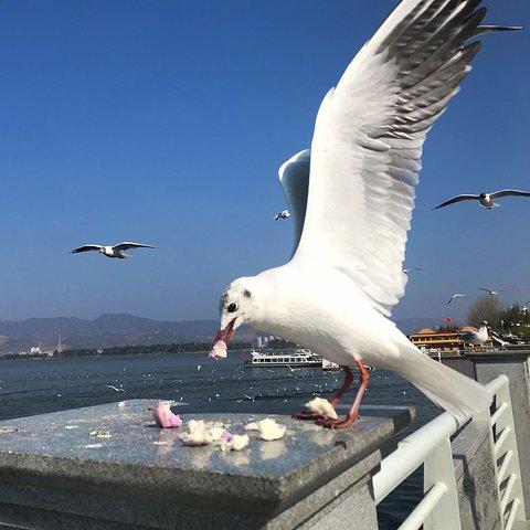 云南南宁市怎么样
