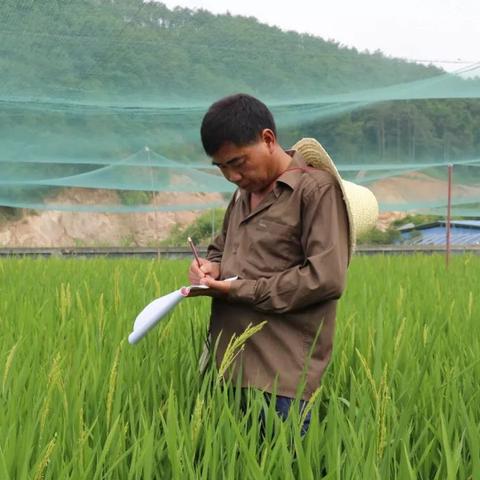 河北沙县天气预报一周的长尾关键词有什么