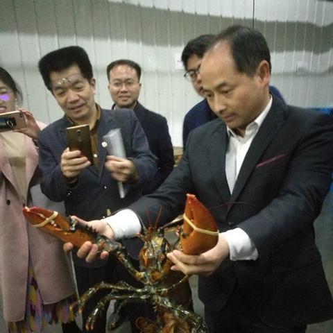 长沙空运公司相关长尾关键词有哪些