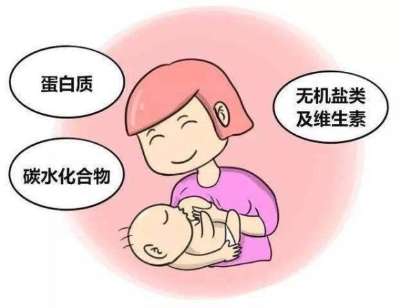 宝宝“最优”的选择是母乳