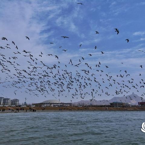 四月的内蒙古气温的长尾关键词有什么