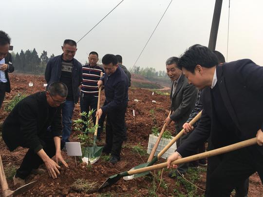 最美厨师对口帮扶助力脱贫首届餐饮业慈善公益大会系列活动四川举办