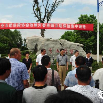 苏州市常熟市小龙虾批发市场在哪里