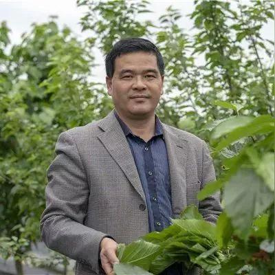 东莞市康源一品二手房的长尾关键词有什么