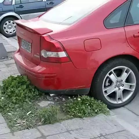 赣州市汽车自燃事故调查的长尾关键词有哪些