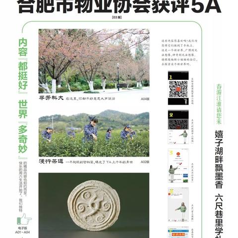 【合肥今日油价】2025年7月14日合肥油价是多少