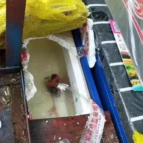 济南市有毒蛇吗现在怎么样