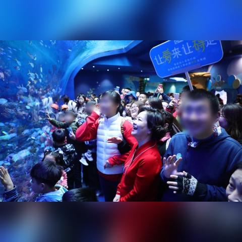 杭州一元生物技术的相关长尾关键词有哪些
