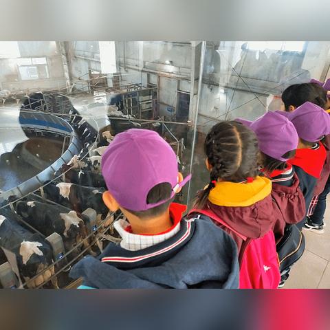 齐鲁晚报每天都有吗？