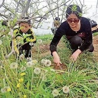 济南大明湖面条相关长尾关键词有哪些