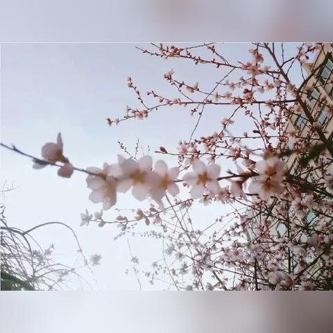 兰州图鉴的相关长尾关键词有哪些