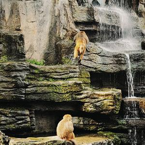 成都市中区哪些路被淹了