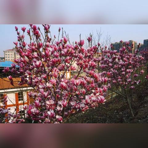 长沙市内什么地方好玩儿