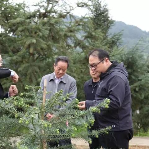 福建林业技术学院好吗的相关长尾关键词有哪些