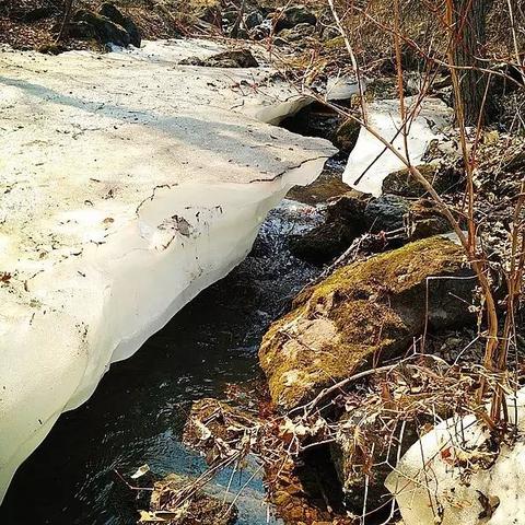 哈尔滨直通车相关长尾关键词有哪些