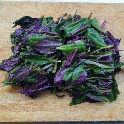 户外美食都有什么菜（有靠谱的美食推荐么）