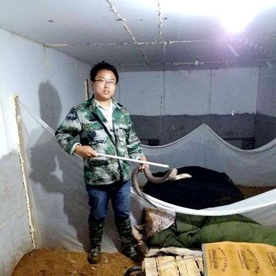 福建哪里有养蛇的相关长尾关键词有哪些