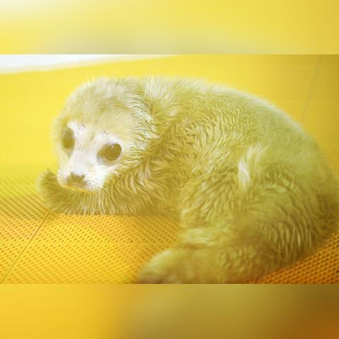 极地馆哈尔滨相关长尾关键词有哪些