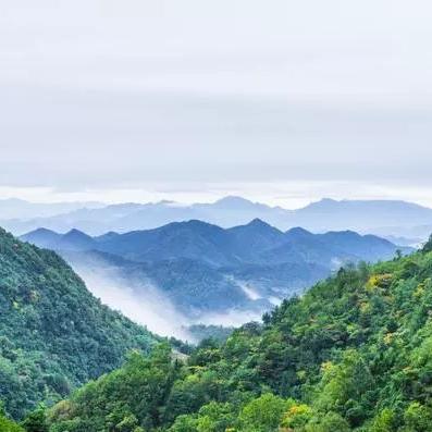 西安市偷倒垃圾怎么举报