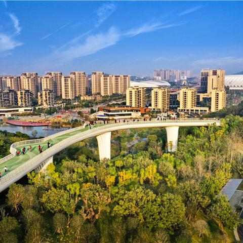 福州飞凤山有几路公交车？