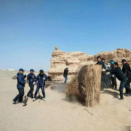 甘肃刺猬头和精发大扣区别？