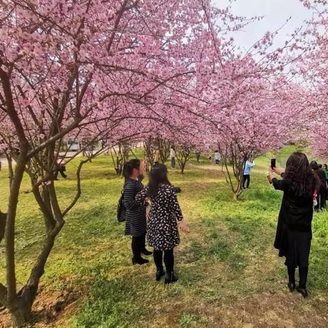 长沙园林生态园攻略相关长尾关键词有哪些