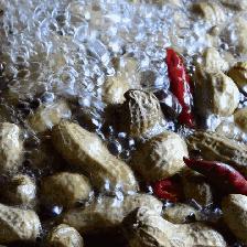 成都市区哪里有买卤菜的