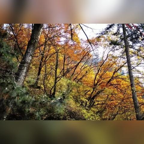 杭州临平区旅游景点的相关长尾关键词有哪些