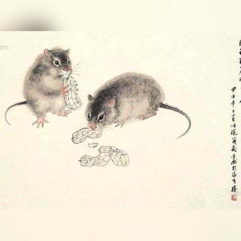 “你的太岁年份搞对了吗？这份算法别错过”