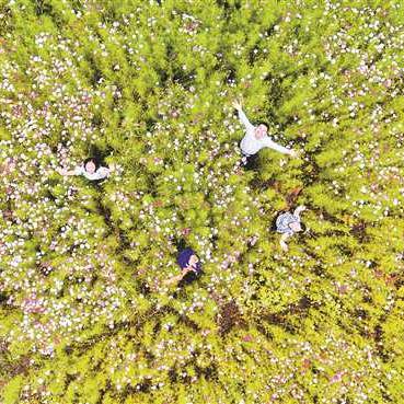 重庆璧山城市花园房价的长尾关键词有什么