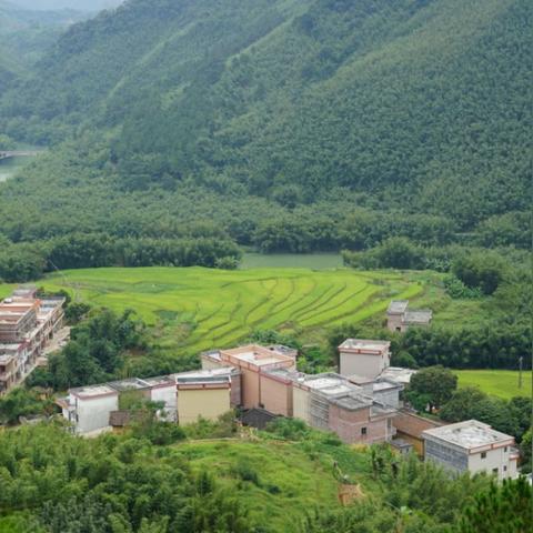 中国四大古水镇？