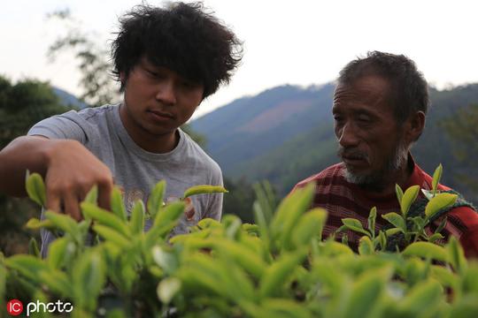 小伙帮同学代买茶叶，转了一圈后创业卖茶，年入5千万