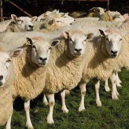 沈阳市高中怎么分班的啊