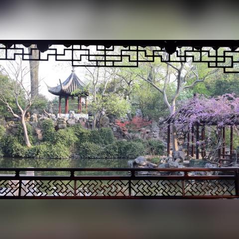 苏州市紫藤路学校怎么样