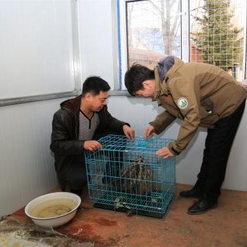 哈尔滨坐公交车教程相关长尾关键词有哪些