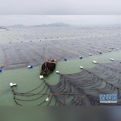 宁德小伙明天什么天气