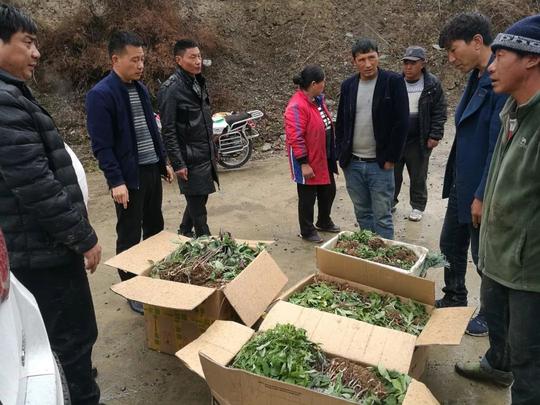 党建引领三举措提升外出务工经商与返乡创业人员法律政策素质