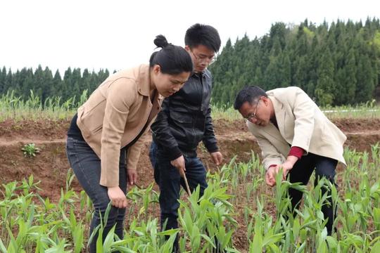 官宣l团团在行动，湘西州“青年扶贫奖章”考察评审正在进行中！